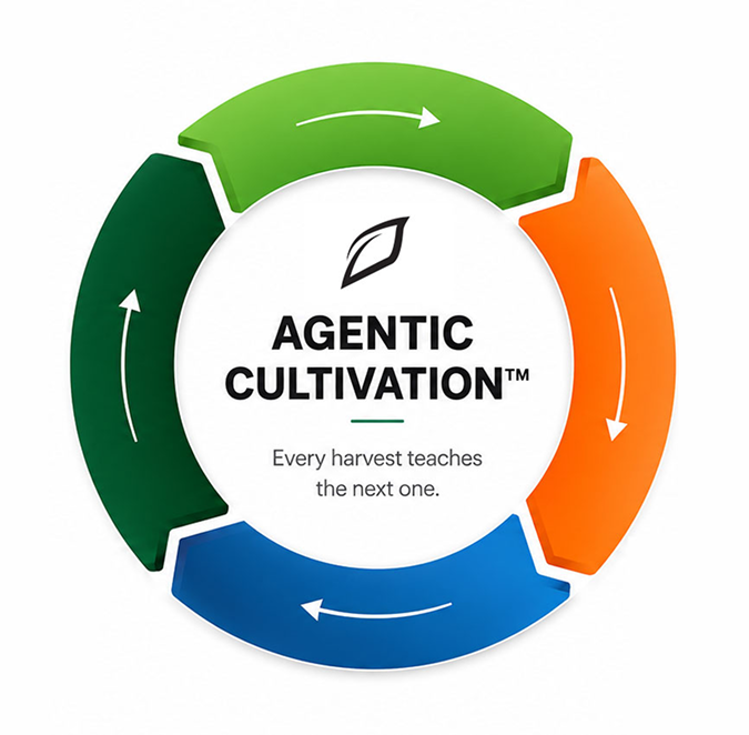 Agentic Cultivation loop: Sense, Decide, Act, Improve