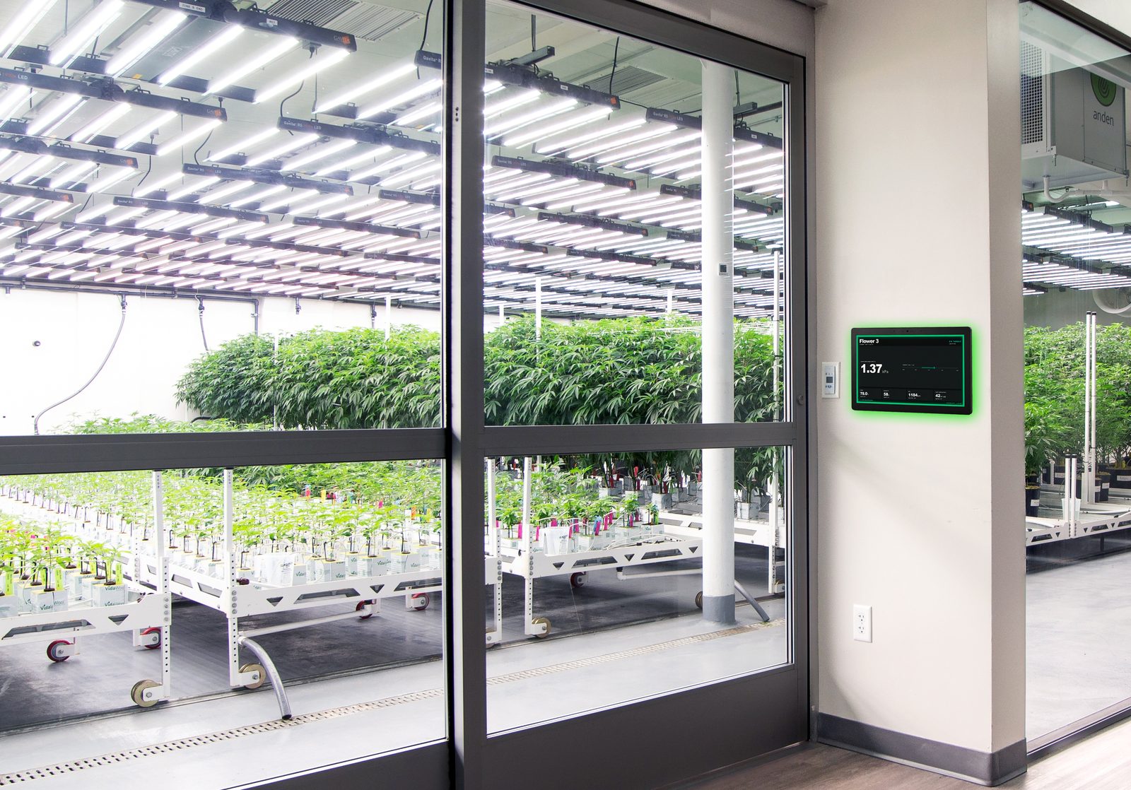 displayLINK mounted outside a mother room with plants visible through glass walls