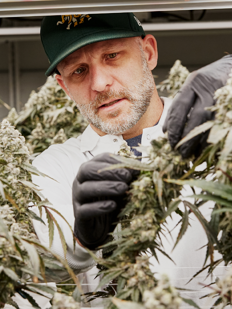 Commercial cultivation facility
