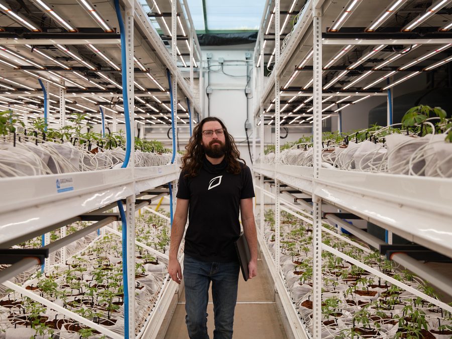 Growlink team member walking through vertical cultivation facility