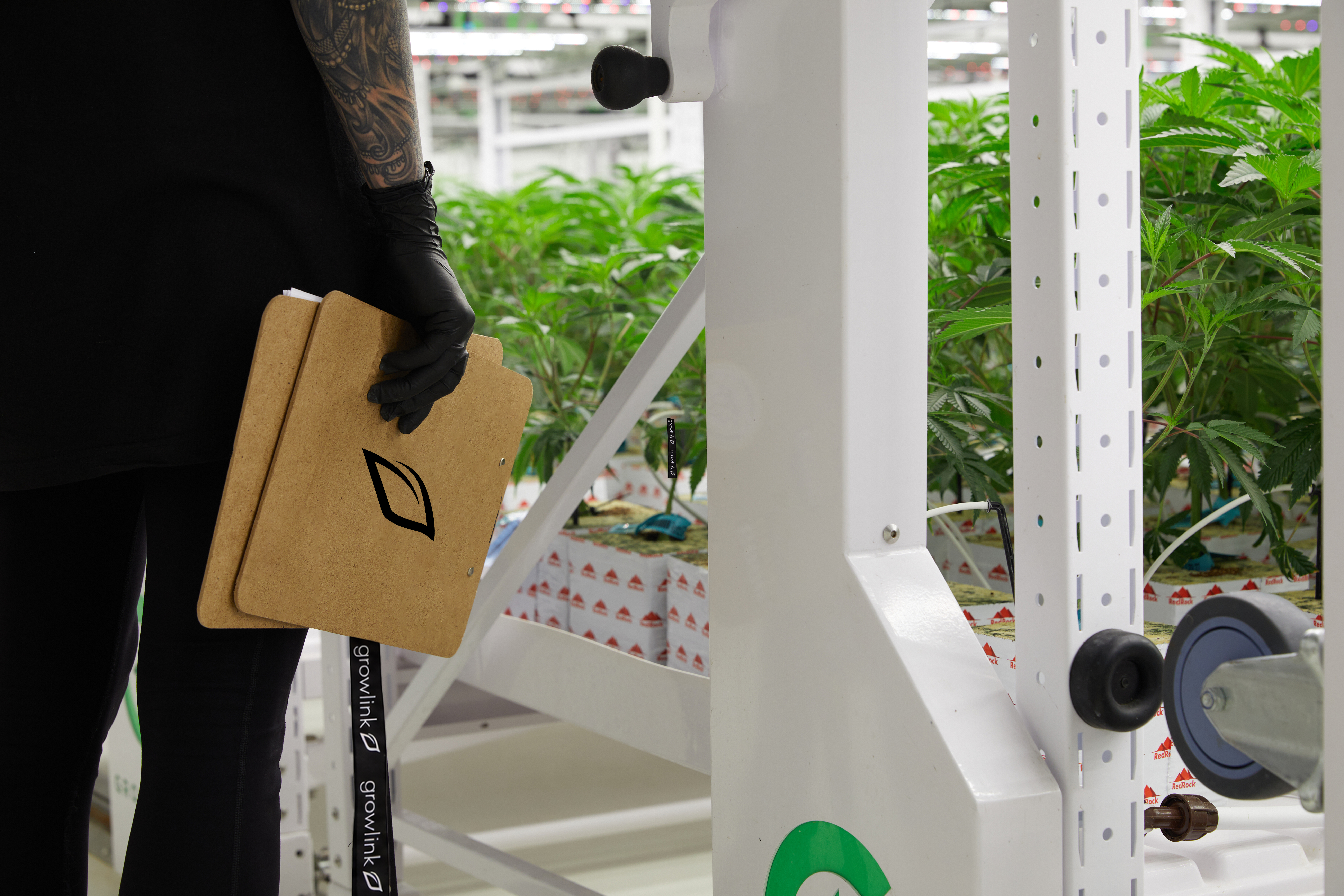 Growlink team — cultivation